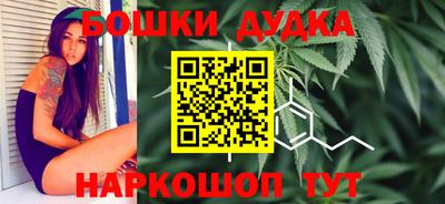 прущие крисы Новозыбков
