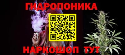 дмт Новодвинск